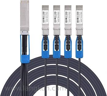 Amazon.com: 100G QSFP28 Breakout DAC Cable | QSFP28 to 25G SFP28 Passive  Direct Attach Copper Twinax Cables for Cisco QSFP-4SFP10G-CU1M,  1-Meter(3.3ft) : Electronics
